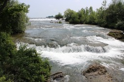 img_5742_med_hr